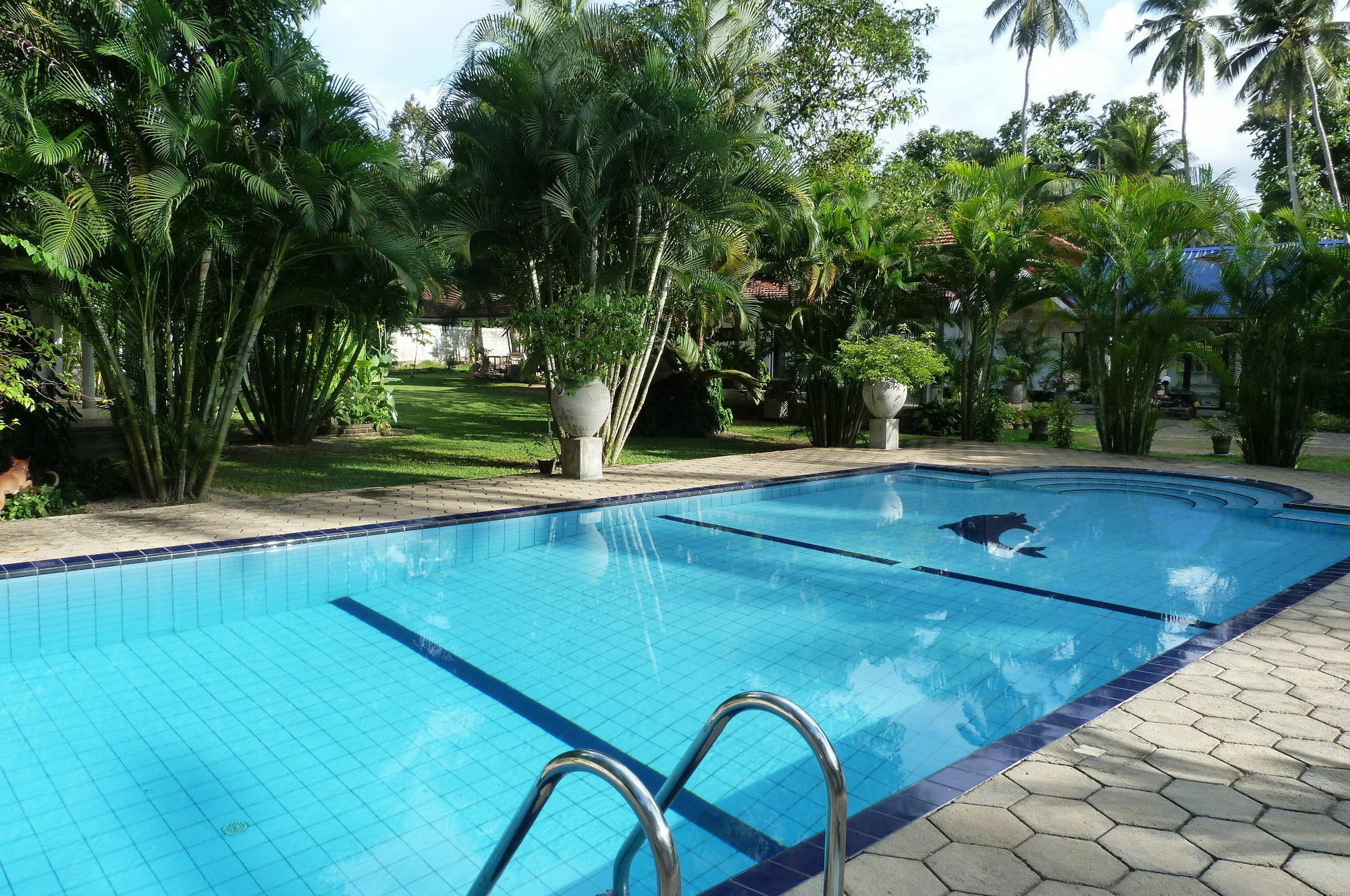 Hotel Fire Dragon Hideaway Negombo Exteriér fotografie