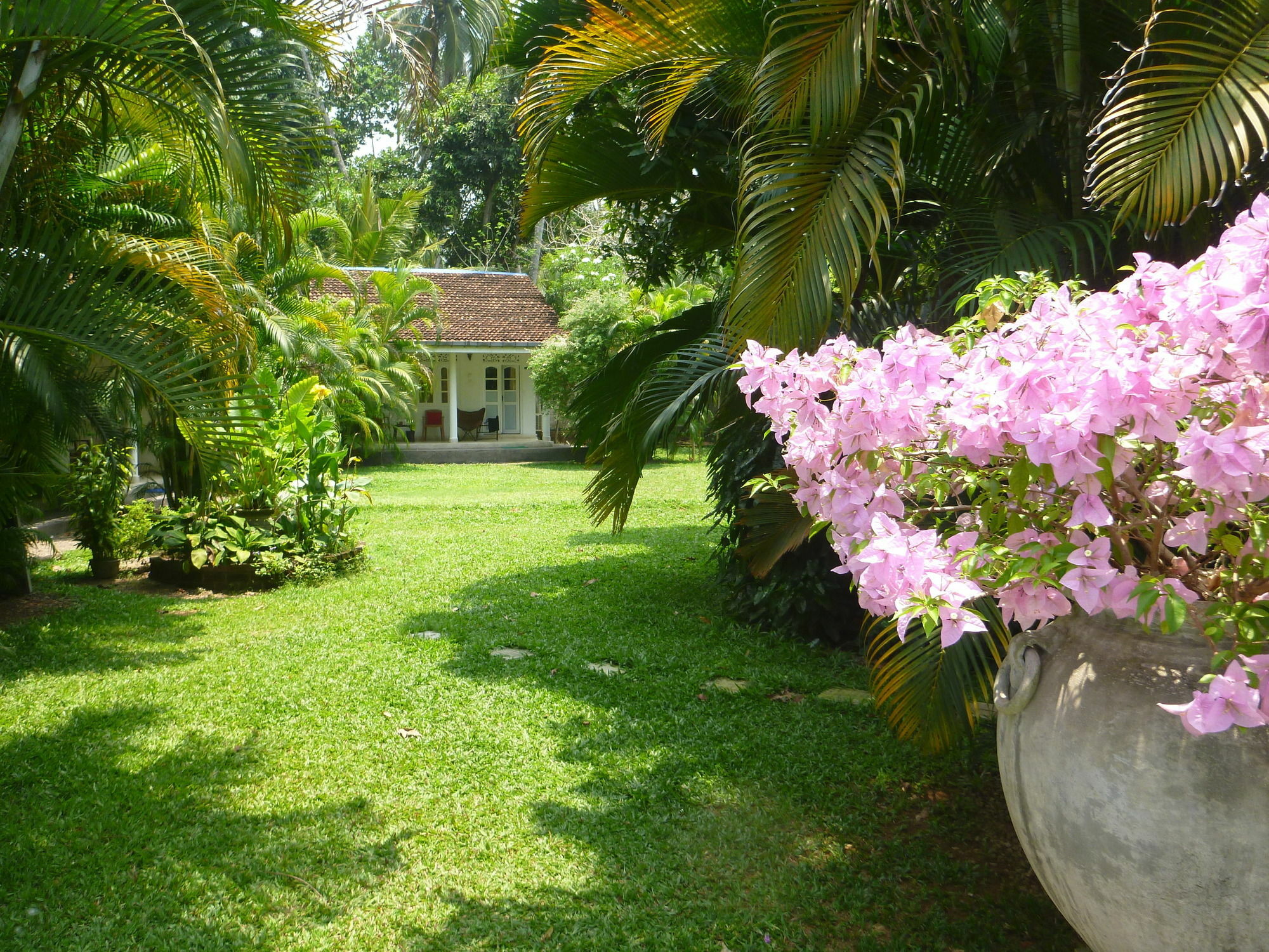 Hotel Fire Dragon Hideaway Negombo Exteriér fotografie