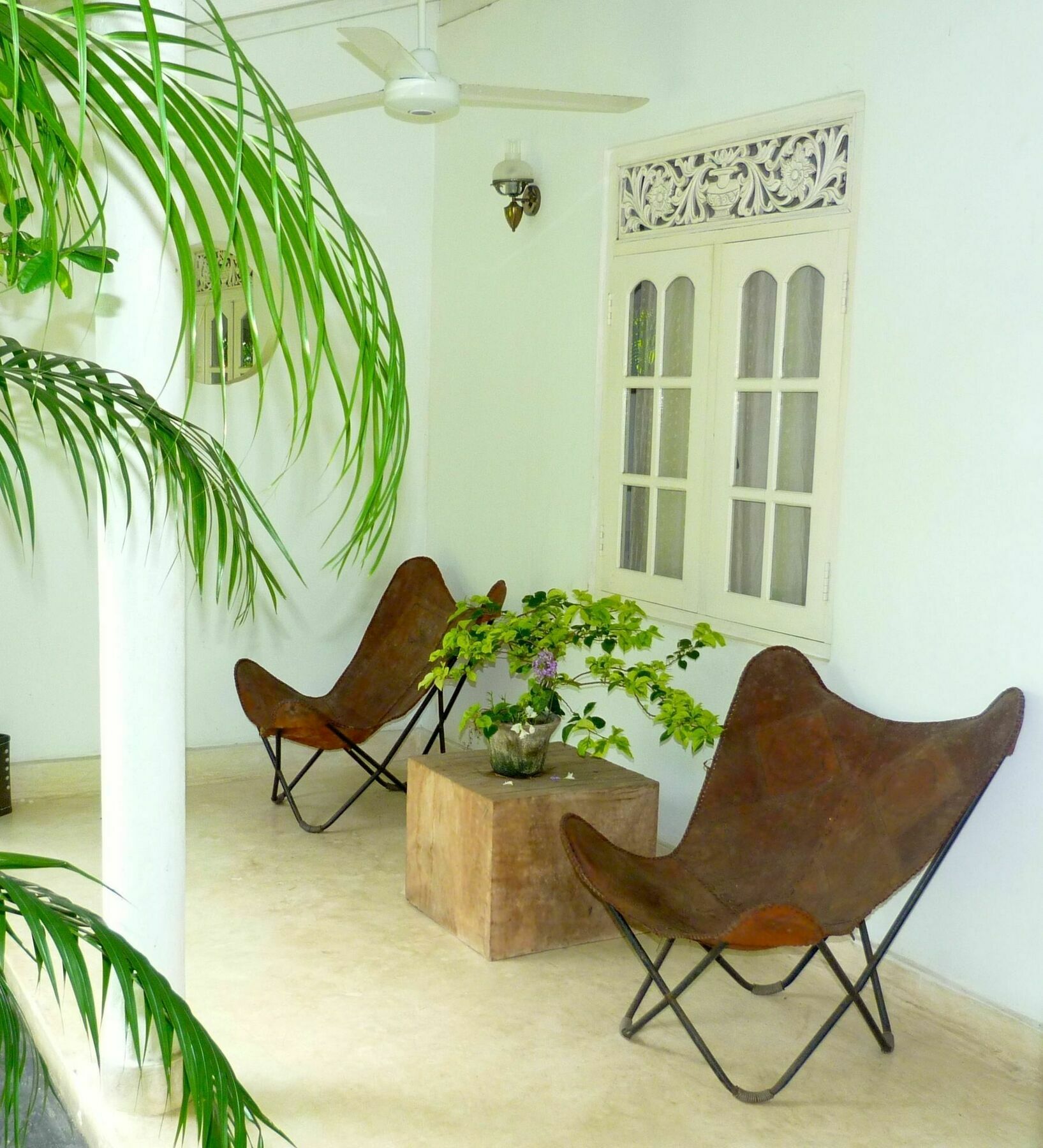 Hotel Fire Dragon Hideaway Negombo Exteriér fotografie